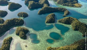 Prof. Ravasi’s research work involves travelling to spectacular locations such as Nikko Bay in Palau 