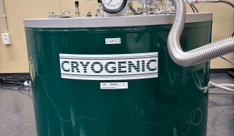 Cryogenic magnet system
