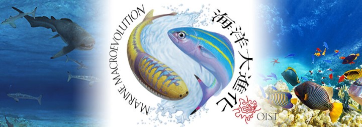 Depiction of ancient and new fish in a yin-yang arrangement