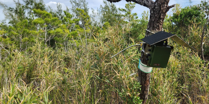 Picture of an acoustic monitoring station, part of the OKEON Churamori project.