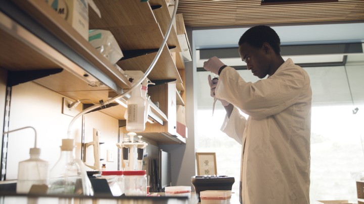 A researcher working in a lab