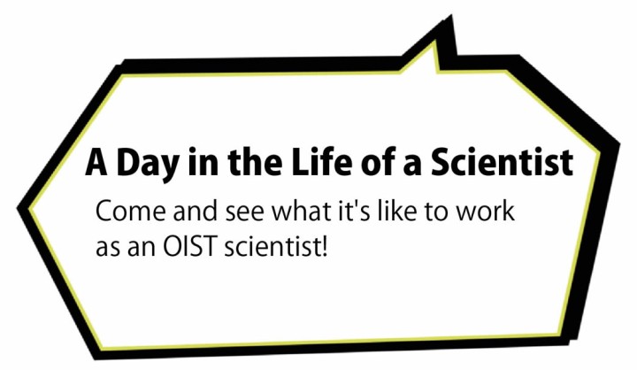 A day in the life of a scientist