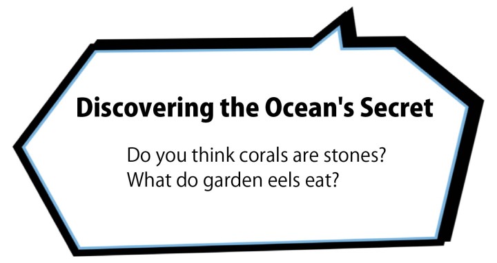 Discovering the ocean's secret