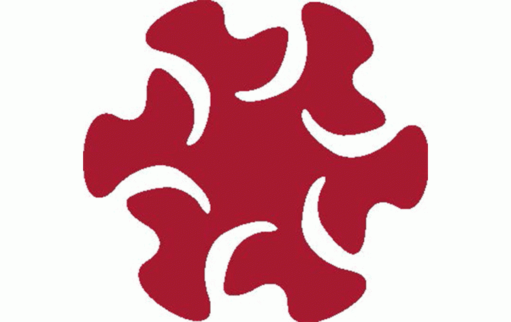 red irregular shape