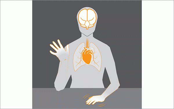illustration of a person with lungs, a heart and a brain inside