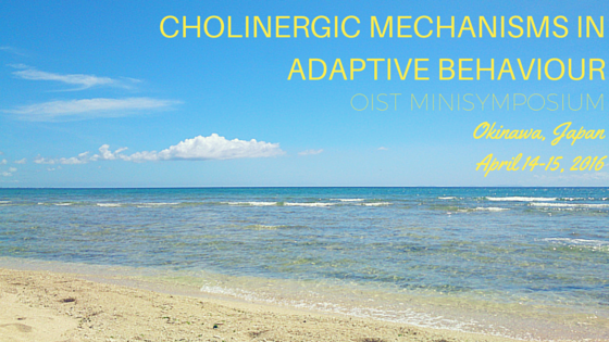 nru OIST Minisymposium: Cholinergic Mechanisms in Adaptive Behaviour 1