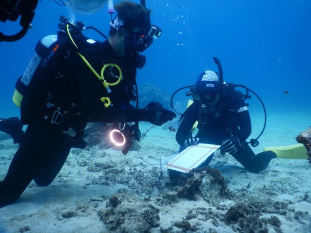 macc Seragaki Island Clownfish Restoration Project 01