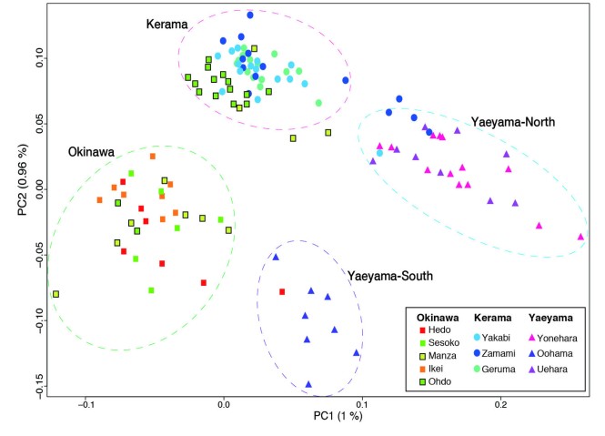 mgu Research (2)c Population genetics of Acropora in the Ryukyu Archipelago