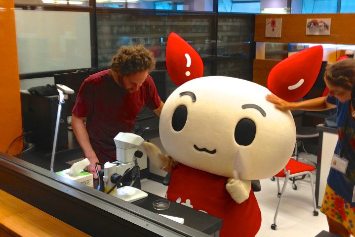 Kenketsu-chan recruits blood donors (June 19, 2013)