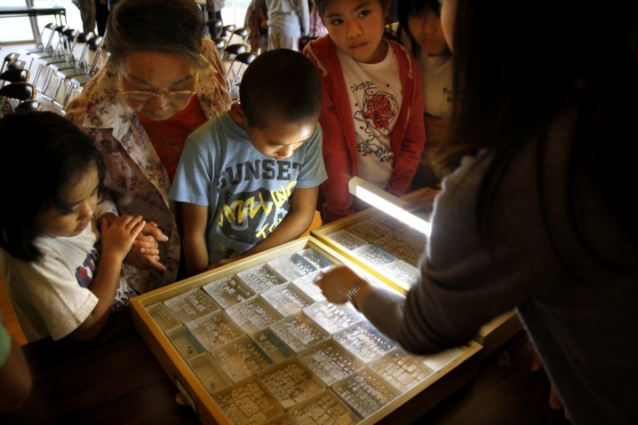 Hiroko Chibana looks at preserved ants with her grandchildren. 