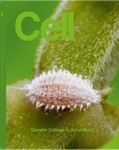 mgu Publications 2013 2 Cell
