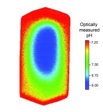 pH within a protein crystal color-coded image showing pH within a protein crystal