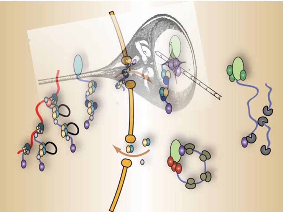 Cutting Edge Developments in RNA Biology for the Control of Gene ...