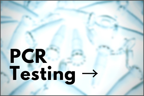 PCR Testing Information
