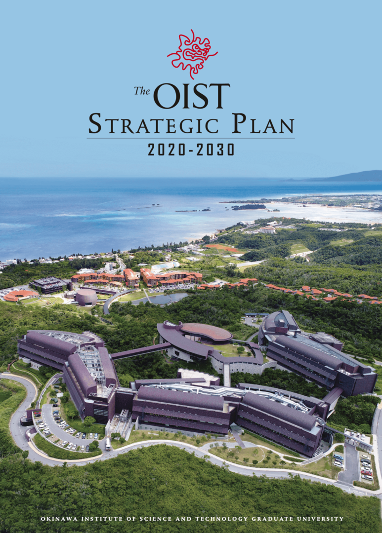 Cover of the published full strategic plan
