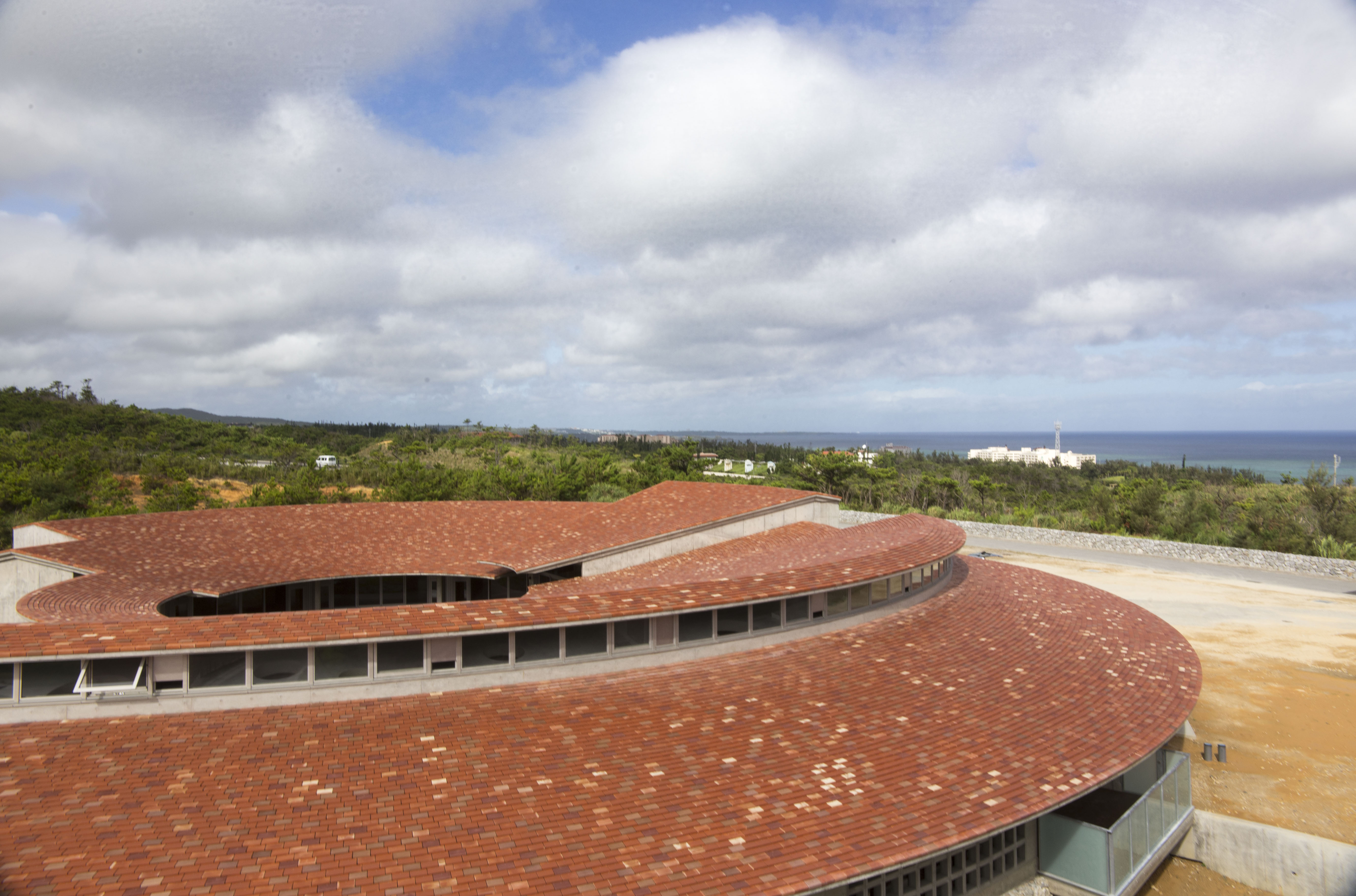 New CDC Roof View