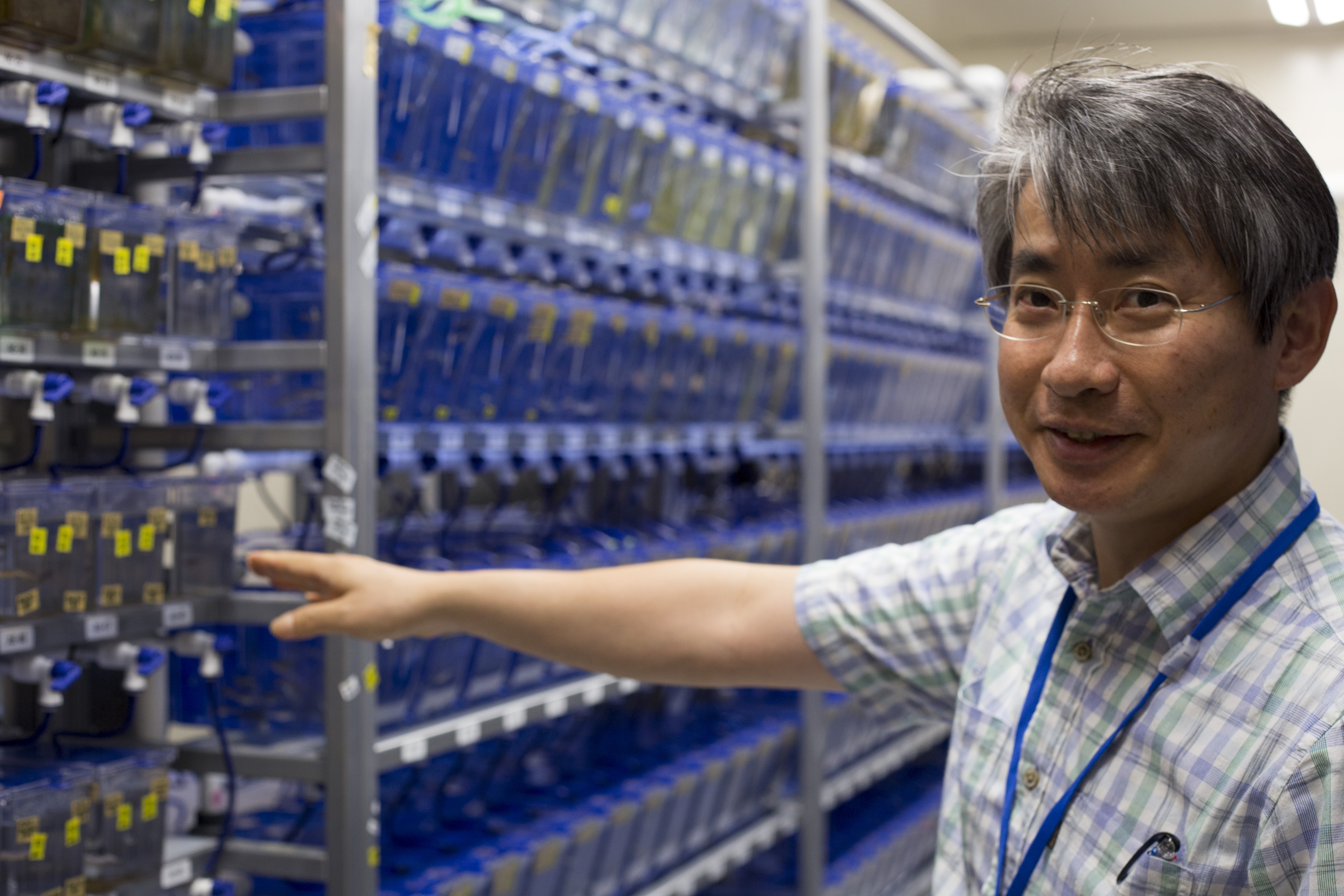 Professor Ichiro Masai in the Zebrafish Lab 