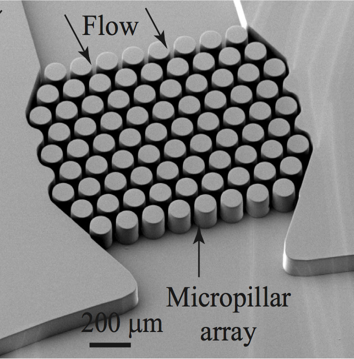 Microfluidic Platform