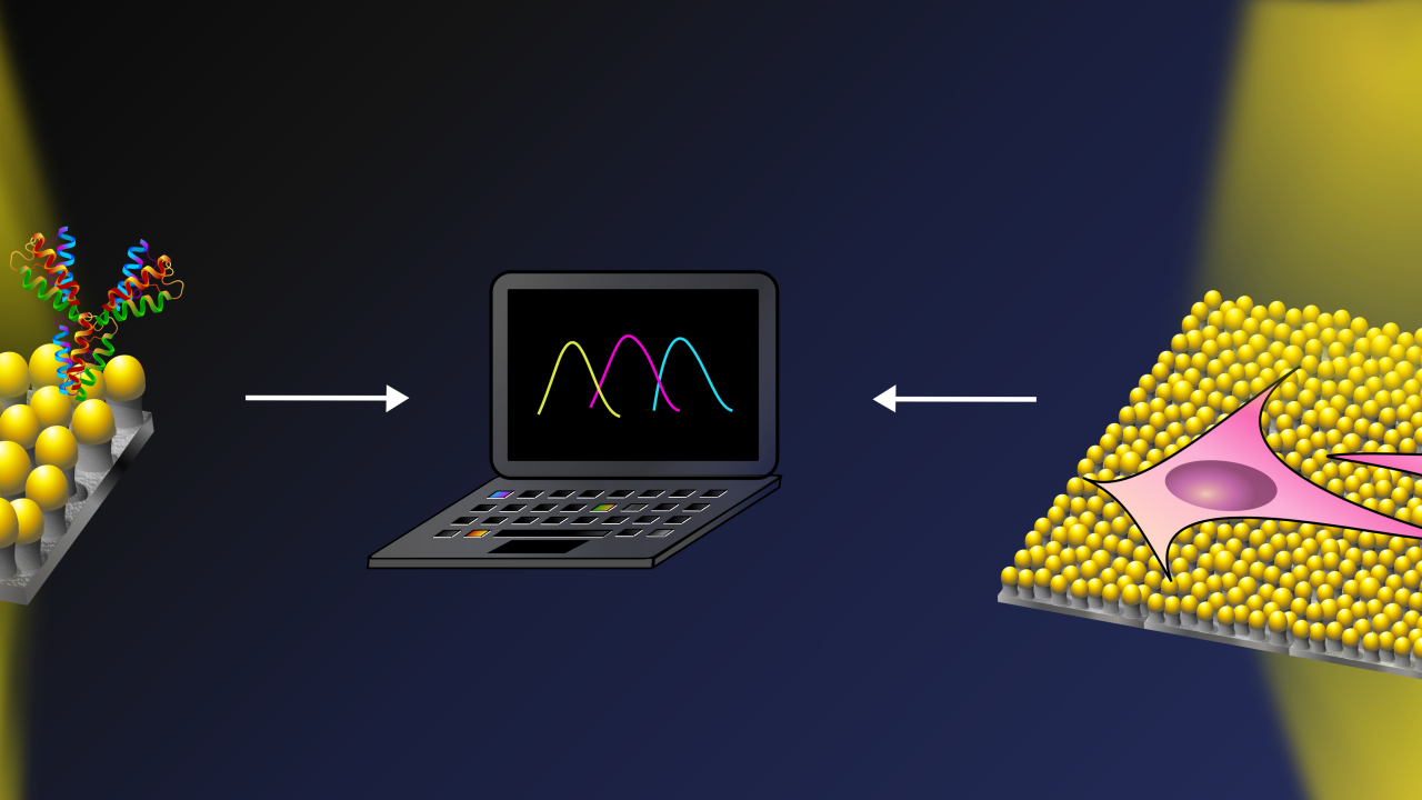 キノコ型ナノ構造によるセンサー素子の開発：幅広い応用を秘めた機能性