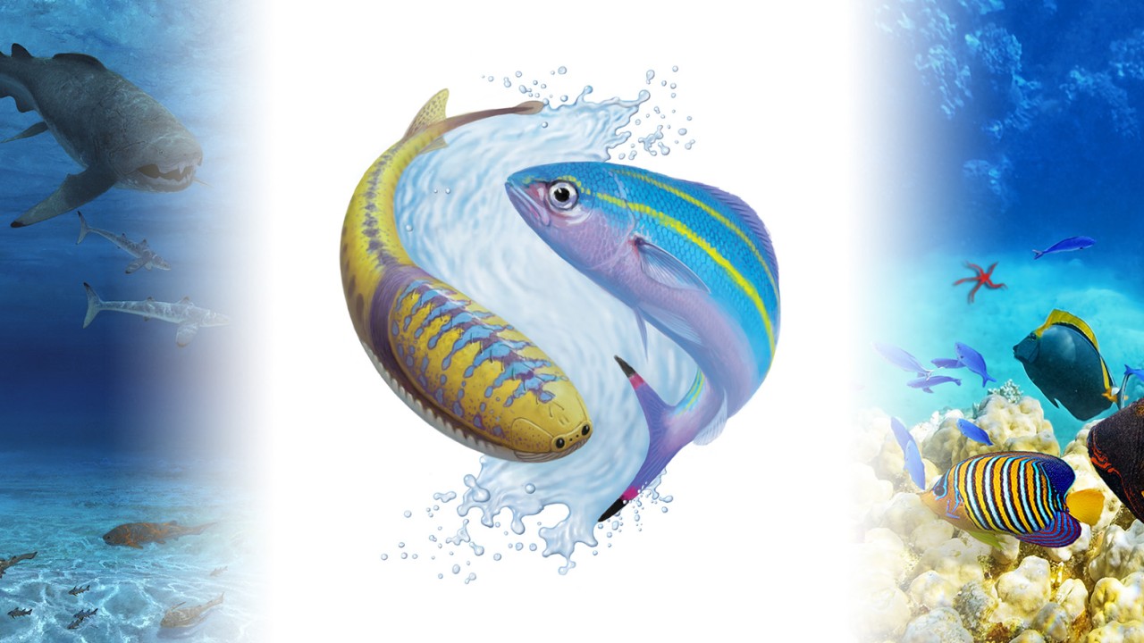 Logo for the Marine Macroevolution Unit, featuring the early jawless fish Sacabambaspis and the Okinawa prefectural fish, the Gurukun (Caesio diagramma)
