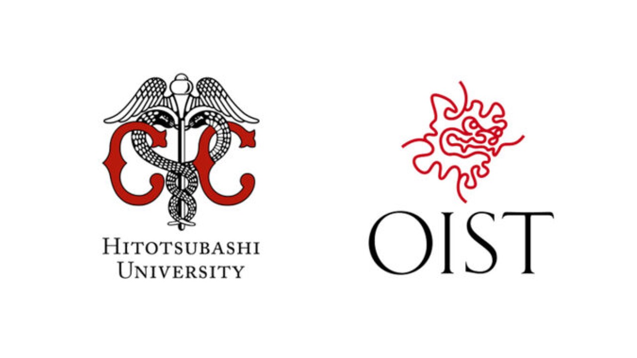 Hitotsubashi University and OIST partner to launch an internship program