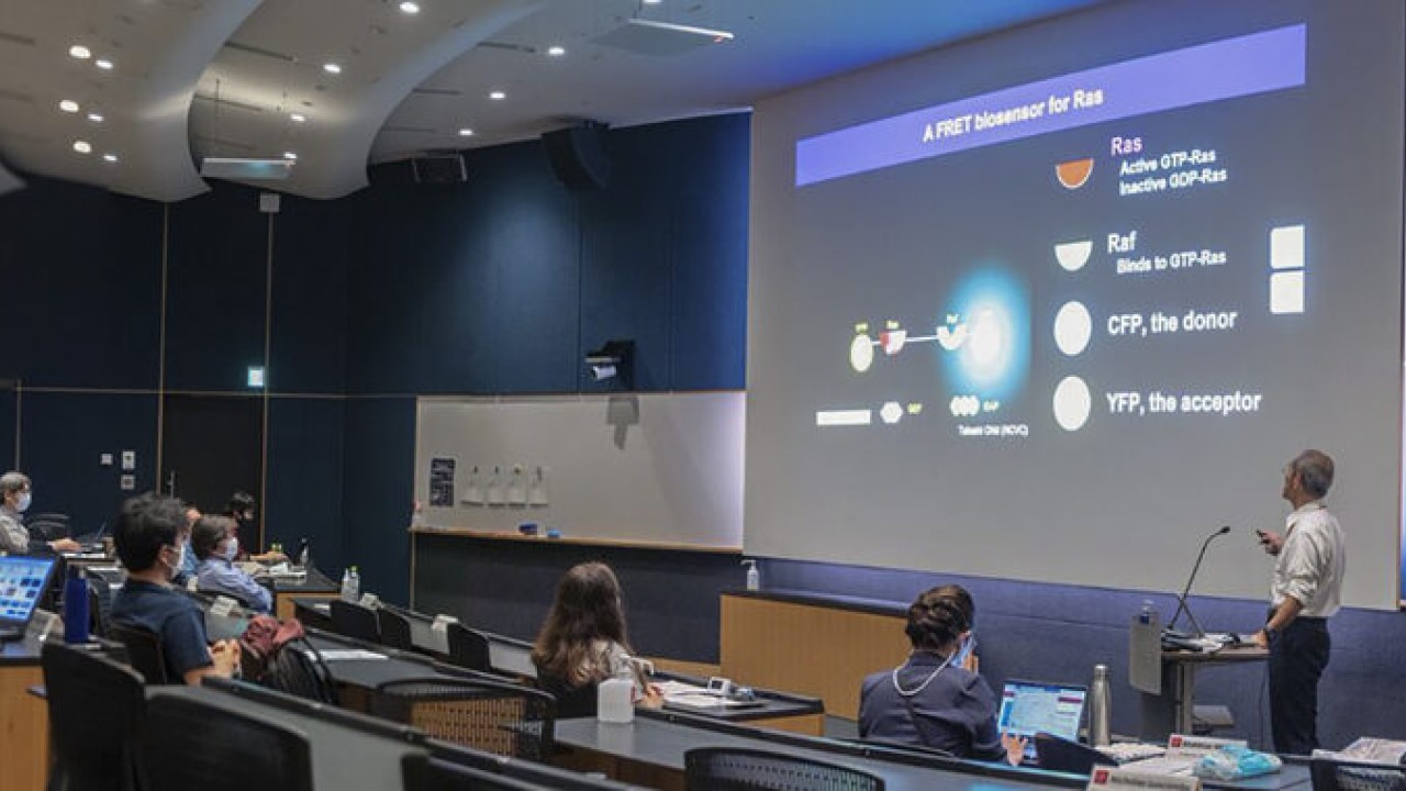 Biomedical science workshop weaves closer ties between OIST and Kyoto University
