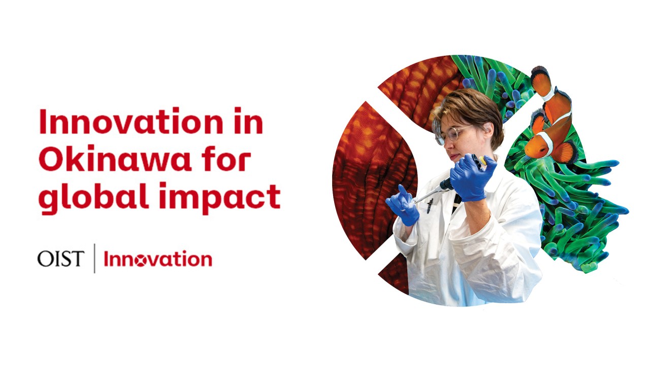 Innovation in Okinawa for Global Impact