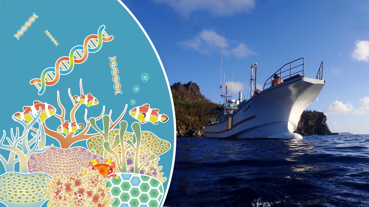 Header image featuring research vessel used in Ogasawara