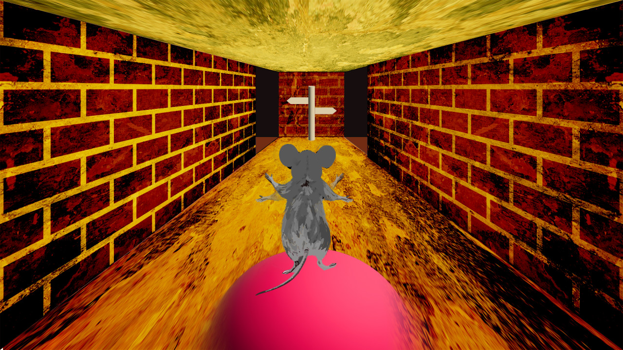 In their investigations, the researchers trained mice in a virtual maze, teaching them the correct route to receive a reward. They then switched the route, leading to an unexpected loss of reward for the mice, and observed the effects of this disappointing change using two-photon microscopy. 