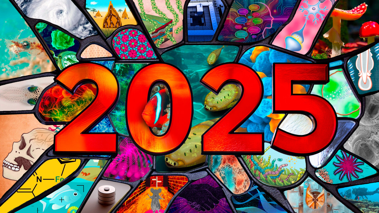 2025