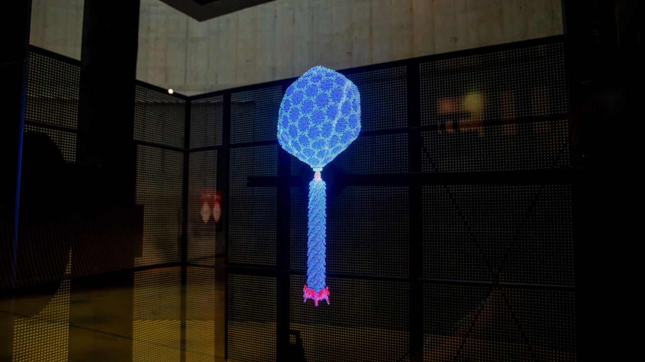 Image of the bacteriophage video in the persistence of vision display 