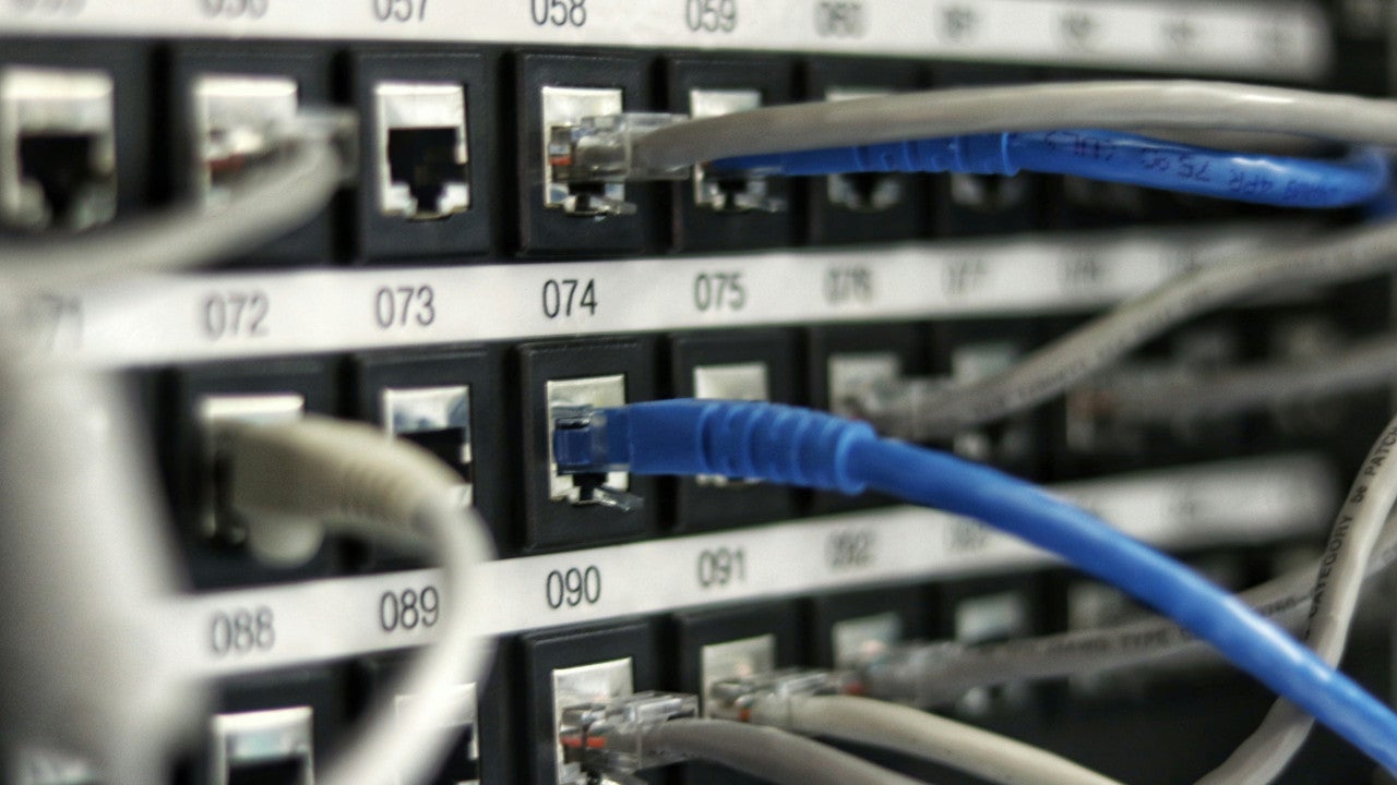 Close-up photograph of LAN cables plugged into a device.