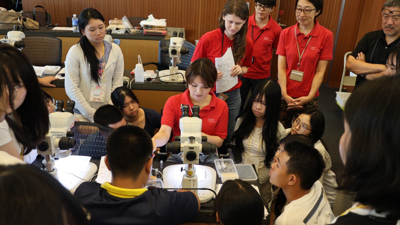 Students observe MTS members preparing ant specimens under a microscope