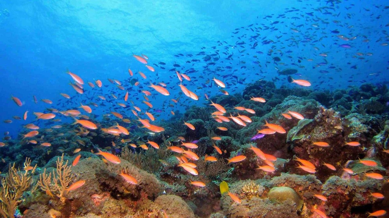 Photo near Tonaki Island 