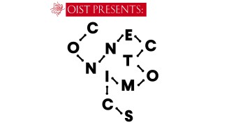 Connectomics logo