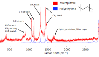 By using a chemical analysis technical called Raman spectroscopy, scientists can generate ‘molecular fingerprints’ of microplastics. To identify the microplastic, the generated “molecular fingerprints” (red) can be matched to those for known plastics like polyethene (blue).