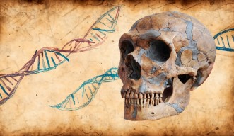 Human Evolutionary Genomics Unit banner