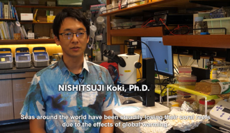 Dr. Nishitsuji - Japan Video Topics