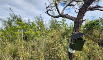 An acoustic sensor recording animal sounds throughout Okinawa