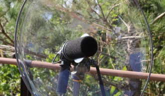 Parabolic microphone with 22" dish, hand handle, and tripod mount.