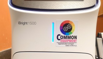 invitrogen iBright FL1500