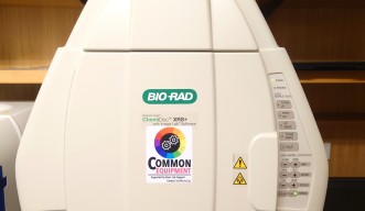 BioRad ChemiDoc XRS