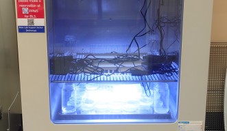 Thermo Scientific MaxQ6000