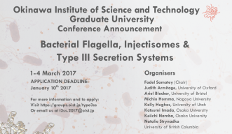 Bacterial Flagella, Injectisomes and Type III Secretion Systems