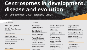 Poster of EMBO Workshop