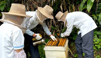 students looking at beehives.