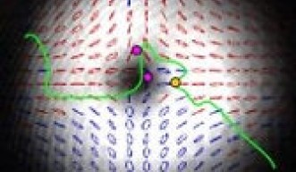 Polarization Manipulation