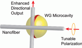 Directional Coupling of Light