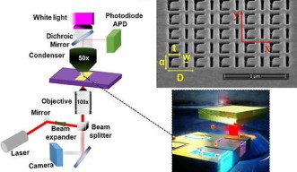 Metamaterial Plasmonic Tweezers