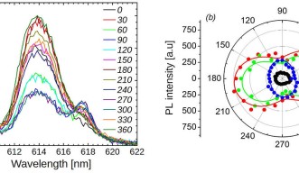 Spectroscopy of Europium-doped Nanorods
